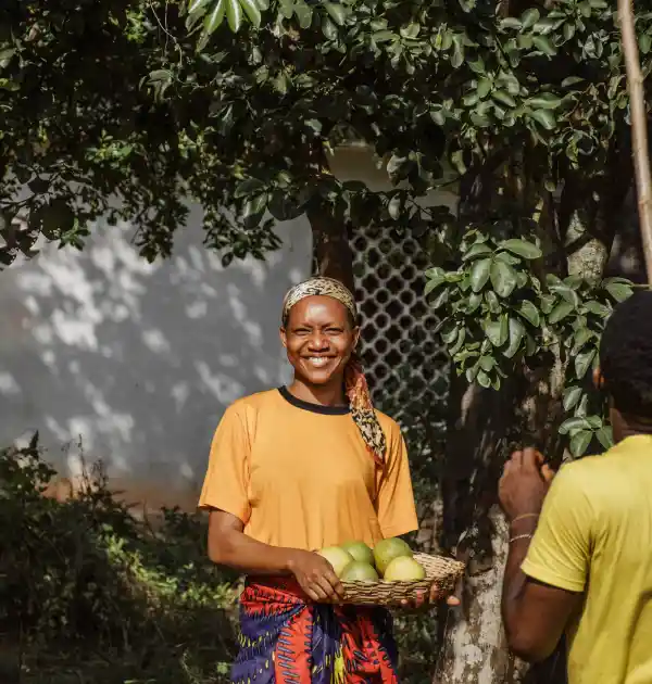 How to use SASSA Status Checker